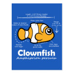 Clownfish Statistics Post Cards