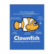 Clownfish Statistics Post Cards