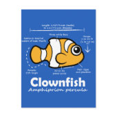 Clownfish Statistics 