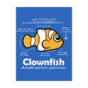Clownfish Statistics postcards