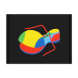 Clown's Shoe Postcard