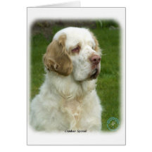 Clumber Spaniel 9Y003D-101 Greeting Cards