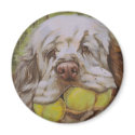 Clumber Spaniel magnets by BarbBarcikKeith Clumber Spaniel magnets