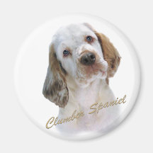 Clumber Spaniel  Magnet