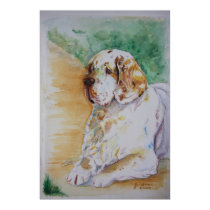 Clumber Spaniel - My Friend Print