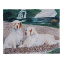 Clumber Spaniel - Pebble Beach print