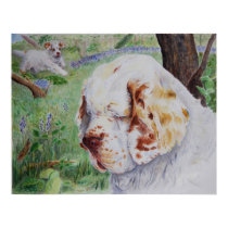 Clumber Spaniel - Spring Woodland print