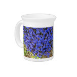Clump of vivacious Blue Flowers Drink Pitchers