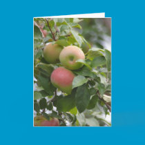 cluster of apples card cards