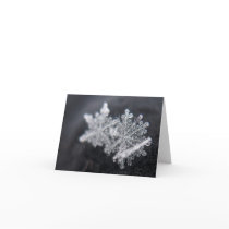 Cluster of Crystals Note Card