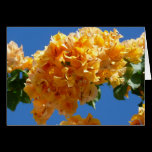 Cluster of Golden Bougainvillea Card