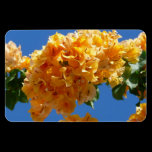 Cluster of Golden Bougainvillea Flexible Magnet