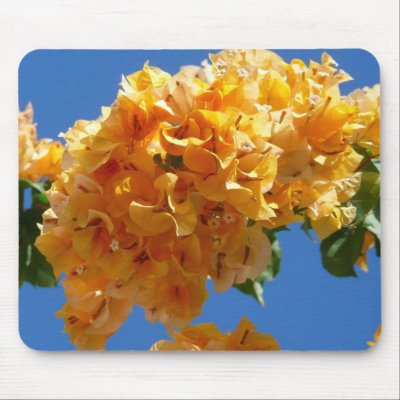 Cluster of Golden Bougainvillea Mousepad by mlewallpapers