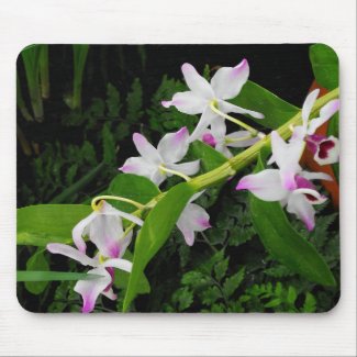 Cluster of Orchids mousepad