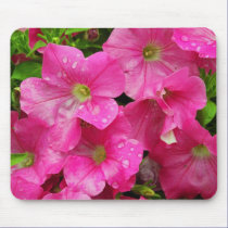 Cluster of pink mousepads