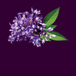 Cluster of Purple Lilac Ladies
