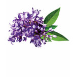 Cluster of Purple Lilac Ladies t-shirts