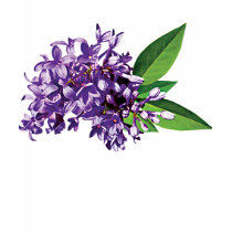 Cluster of Purple Lilac Ladies t-shirts