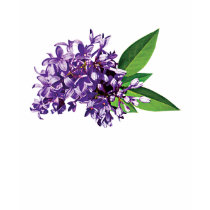 Cluster of Purple Lilac Ladies t-shirts