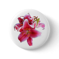 Cluster of Stargazer Lilies Pinback Button