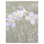 Cluster Of Tiny Bluets Letterhead