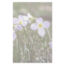 Cluster Of Tiny Bluets Stationery