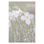 Cluster Of Tiny Bluets Stationery