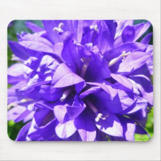 Clustered Bellflower (Campanula glomerata Superba) mousepad