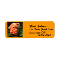 Clustered Coral Roses Return Address Label