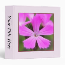 Clusterhead Pink - Dianthus carthusianorum Binder