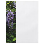 Clusters of Wisteria Flyers