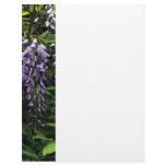 Clusters of Wisteria Letterhead Template
