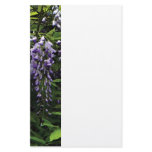 Clusters of Wisteria Stationery Paper