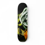 Clutter Balls Woven Skateboard