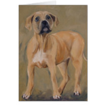 clyde Pitbull puppy greeting card cards