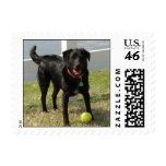 Clyde Stamps