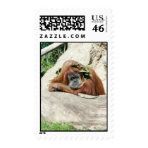 Clyde postage