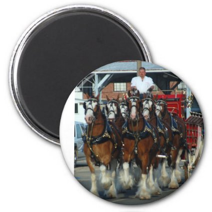 Clydesdale 6 horse hitch refrigerator magnets