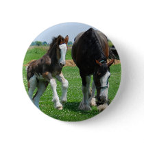 clydesdale and filly buttons