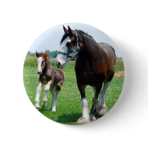 Clydesdale and Filly Pin