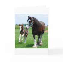 Clydesdale and Filly cards