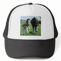 clydesdale and filly hats