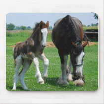 clydesdale and filly mousepads