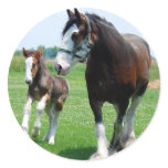 Clydesdale and Filly stickers