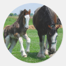 clydesdale and filly stickers