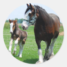 Clydesdale and Filly Stickers