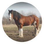 clydesdale black border round sticker
