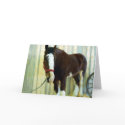 Clydesdale cards