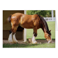 Clydesdale Card