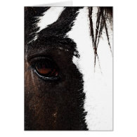 Clydesdale Cards